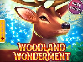 Woodland Wonderment (pull tabs)