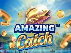 Amazing Catch™