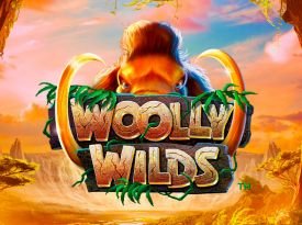 Woolly Wilds™