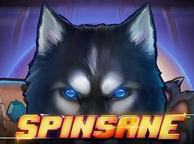 Spinsane