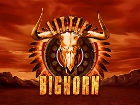 Little Bighorn