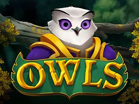 Owls