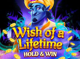 Wish of a Lifetime Hold & Win