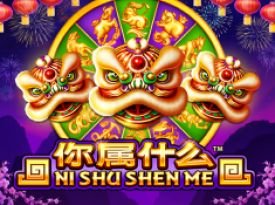 Ni Shu Shen Me 