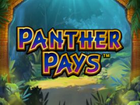 Panther Pays 