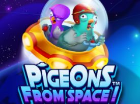 Pigeons From Space! 