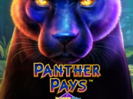Powerplay: Panther Pays 