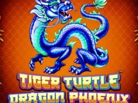 Tiger Turtle Dragon Phoenix  