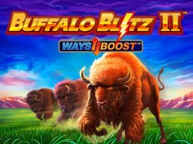 Buffalo Blitz 2