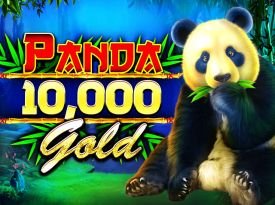 Panda Gold 10,000