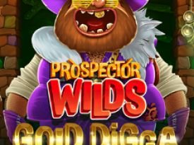 Prospector Wilds: Gold Digga