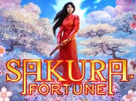 Sakura Fortune