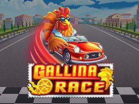 Gallina Race 94