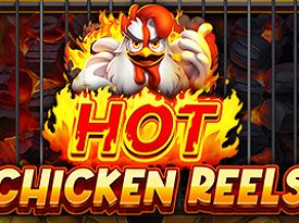 Hot Chicken Reels 94