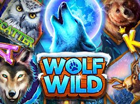 Wolf Wild