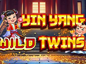 Yin Yang Wild Twins