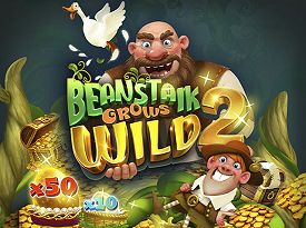 Beanstalk Grows Wild 2