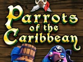 Parrots of Caribbean
