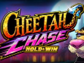 Cheetah Chase