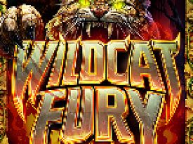 Wildcat Fury