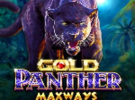 Gold Panther Maxways