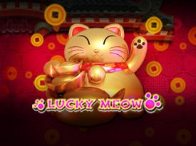 Lucky Meow