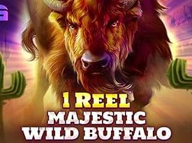 1 Reel - Majestic Wild Buffalo