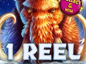 1 Reel Mammoth