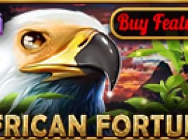 African Fortune
