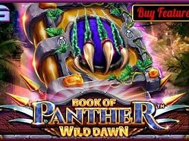 Book of Panther - Wild Dawn