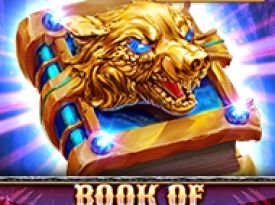 Book Of The Night Wolf