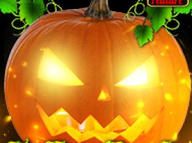 Hallow Reels