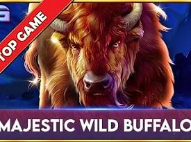 Majestic Wild Buffalo