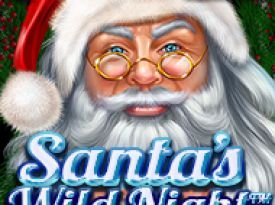 Santa’s Wild Night