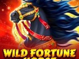 Wild Fortune Horse