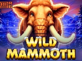 Wild Mammoth