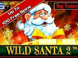 Wild Santa 2
