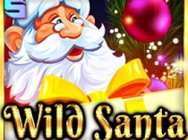 Wild Santa