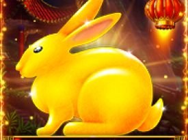 Year Of The Rabbit