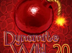 Dynamite Wild 20