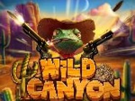 Wild Canyon