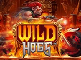 Wild Hogs
