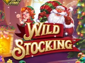 Wild Stocking