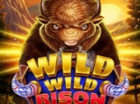  Wild Wild Bison