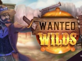 Wanted WILDS