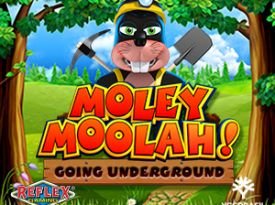 Moley Moolah Going Underground