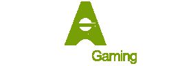 Authentic Gaming